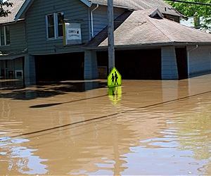 Model Aims To Reduce Disaster Toll On City's Social, Economic Fabric