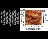 Cell membrane inspires new ultrathin electronic film