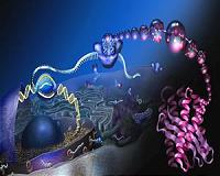 CU-Boulder-led team study origins and evolution of life in universe