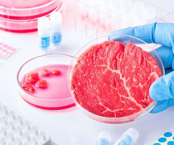 Beer yeast waste could provide scaffold for cultivated meat production