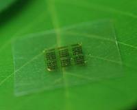 Collaboration could lead to biodegradable computer chips