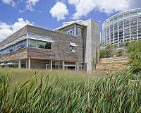 How landscape plants have an impact on the carbon footprint