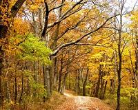 Complex landscape has both vulnerabilities and resilience to change