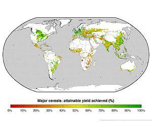 Study offers new hope for increasing global food production, reducing environmental impact of agriculture