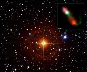 A Close-up View Of Codependent Stellar Living
