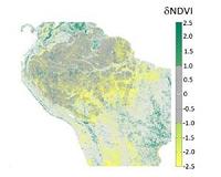 NASA Study Shows 13-year Record of Drying Amazon Caused Vegetation Declines