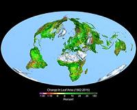 Carbon dioxide fertilization greening Earth, study finds