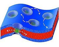 How natural channel proteins move in artificial membranes