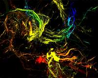 Unique sticky particles formed by harnessing chaos