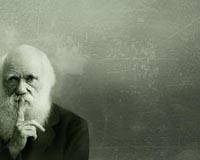 Darwin theory confirmed 161 years after conception