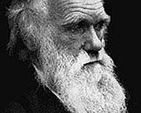 Simple Reason Helps Males Evolve More Quickly