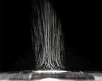 A cheap organic steam generator to purify water