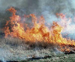 Physicists light 'magnetic fire' to reveal energy's path