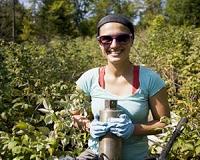Logging destabilizes forest soil carbon over time
