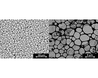 Chemists map an artificial molecular self-assembly pathway with complexities of life