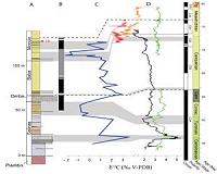 Marine fossil bed along Africa's South Atlantic coast dated to 71.5 mya