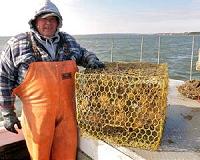 Removal of derelict fishing gear has major economic impact