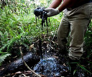 Canadian court greenlights Ecuadoran lawsuit against Chevron