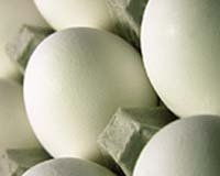 China knew of tainted eggs in September: official