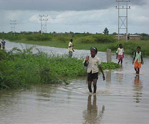 Text messages help cholera fight in Mozambique