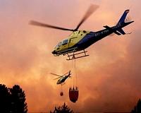 Chile wildfires kill 10 people: president