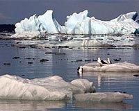 Chilean glacier will vanish in 50 years: study