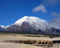 Upslope migration of tropical plants due to climate change