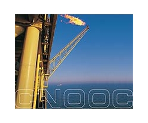 China's CNOOC in talks on Uganda refinery: report