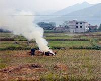 Burn or spurn? What to do with Western waste