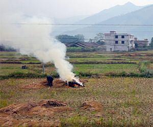 Balancing food security and environmental quality in China