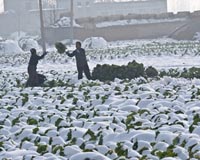 At least 38 dead in China snow storms: state media