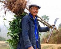 China's mountain hermits seek a highway to heaven