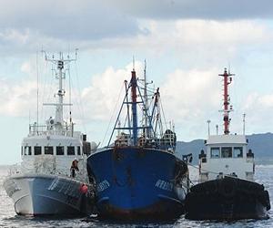 Skipper's arrest sparks worst China-Japan row in years