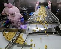 China factory activity softens despite stimulus