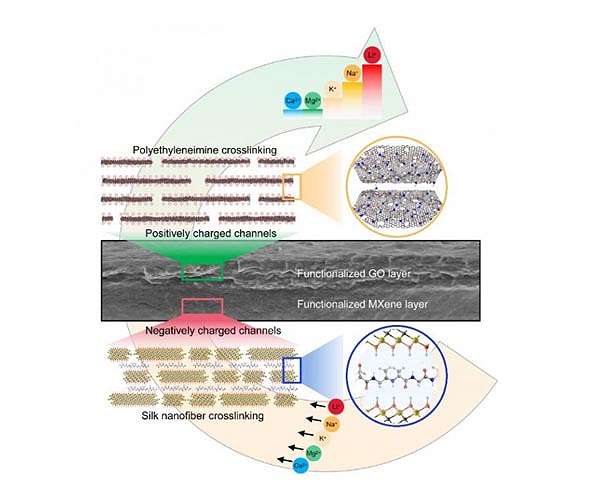 Bionic idea boosts lithium-ion extraction