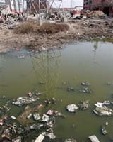 Coasts Of China Devastated By Pollution And Erosion