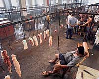 China's economic growth slows as food prices soar