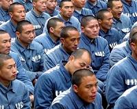 China jails 16 for trafficking in organs
