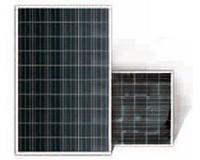 China Sunergy Opens Solar Cell Factory in Korea