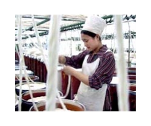 Shanghai hikes minimum pay to combat labour shortage