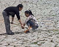 Global warming to decimate China's harvests