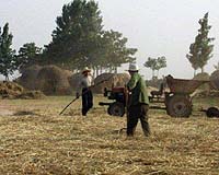 Natural Disasters Hit Chinese Grain Output