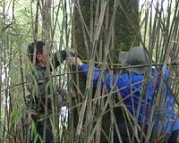 China's forest recovery shows hope for mitigating global climate change