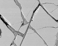 Mars Meteorite Debate Continues