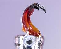 Magnetic teeth hold promise for materials and energy