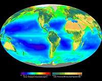 A shortcut in the global sulfur cycle