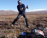 Lazy microbes are key for soil carbon and nitrogen sequestration