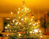 Real Christmas trees 'greener' than fakes