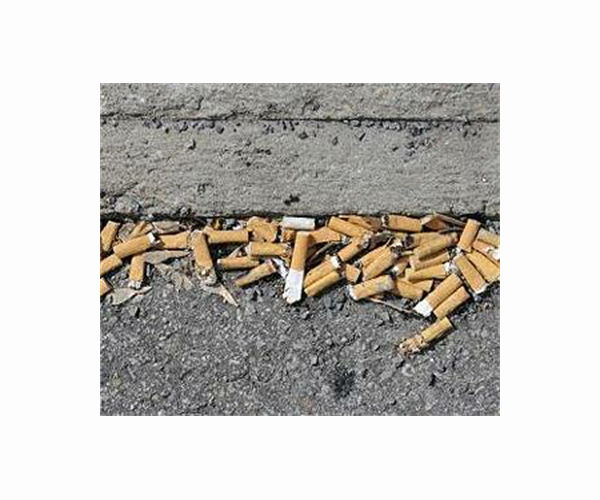 Climate activists heap up 650,000 cigarette butts in Portugal