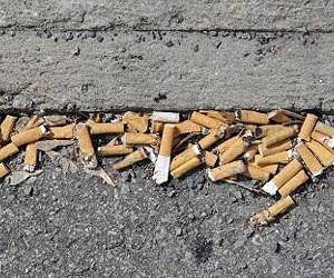Recycling entrepreneur stubs out cigarette garbage